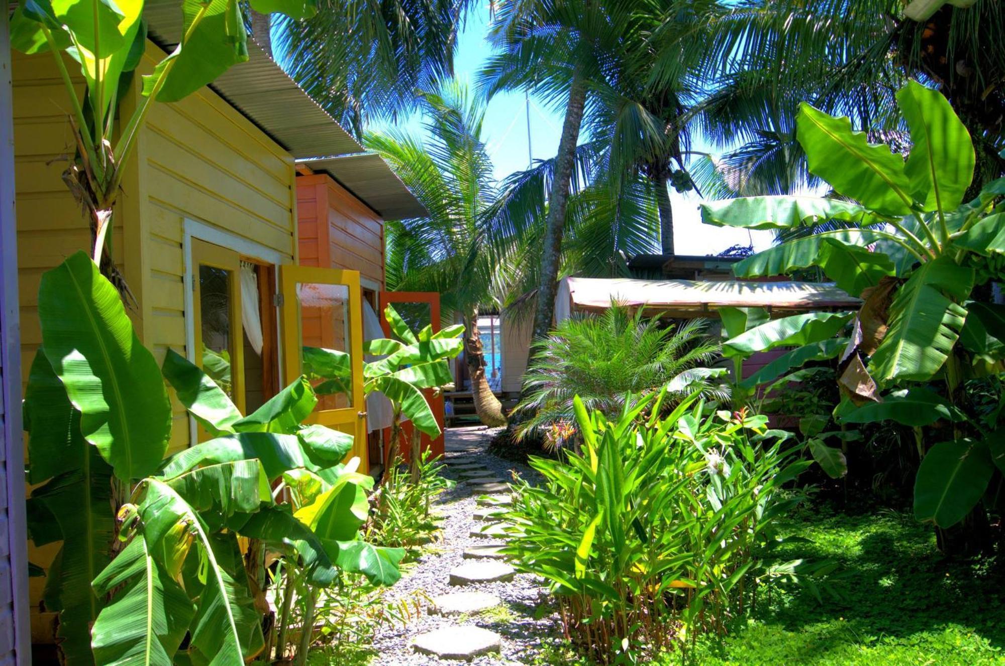 Boathouse Bungalows By The Sea Bocas Town Ngoại thất bức ảnh